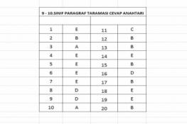 9 VE 10.SINIF PARAGRAF TARAMASI CEVAP ANAHTARI